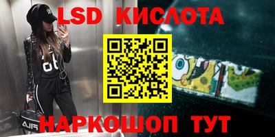 стафф Партизанск