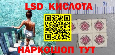 прущие грибы Пенза