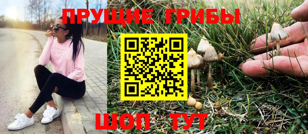 Галлюциногенные грибы ЛСД  Вход с VPN  Сертолово 